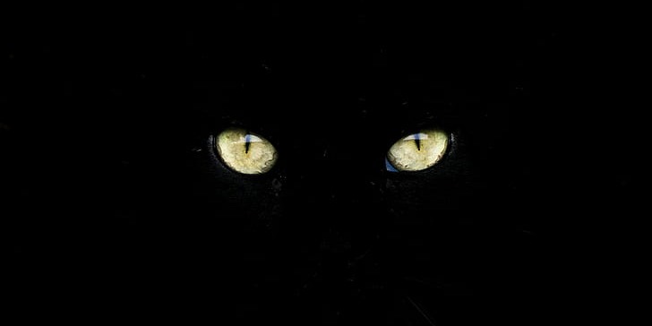 cover picture of ElGrandi