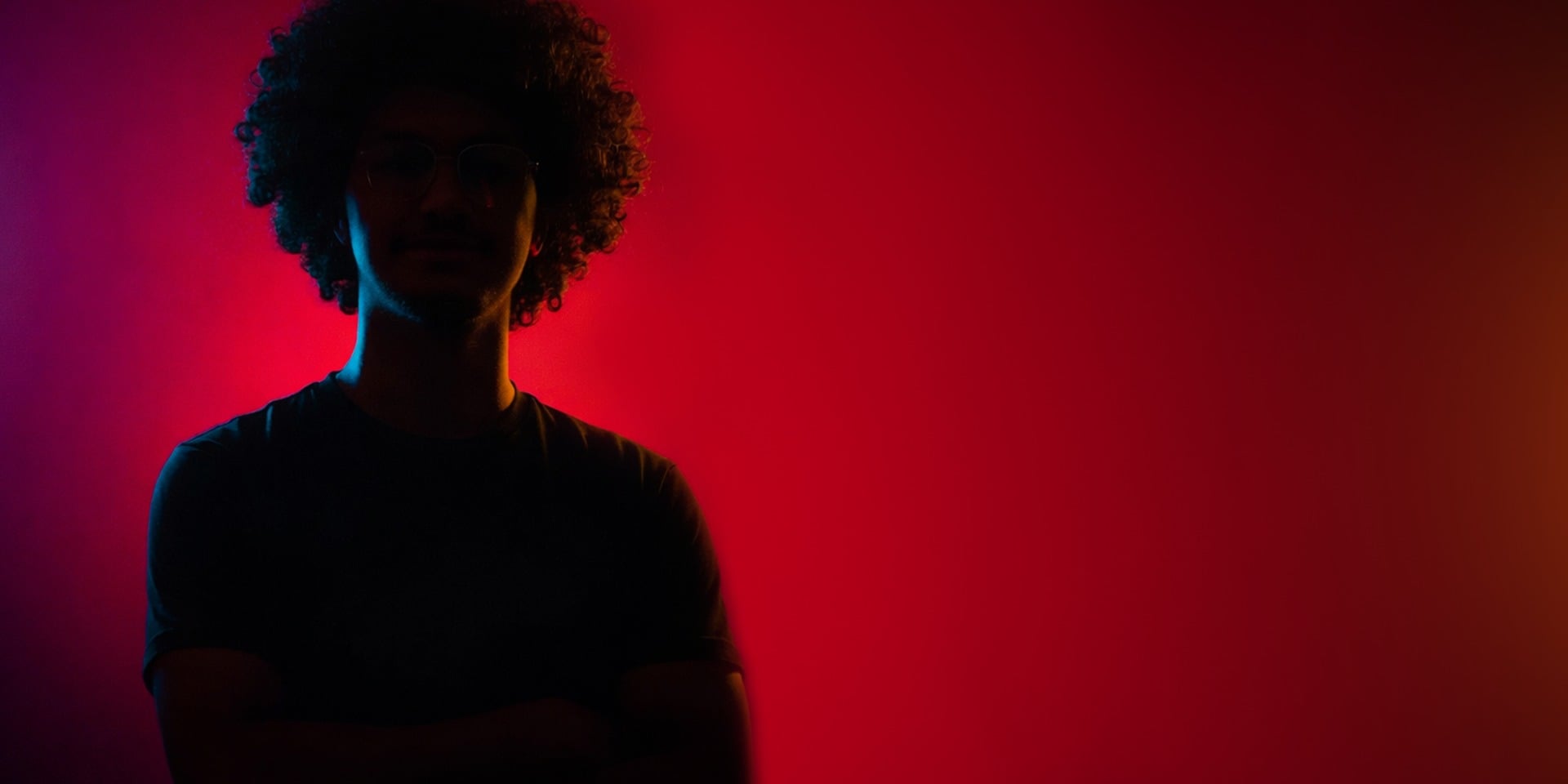 cover picture of Wingster