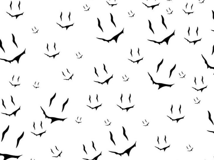 cover picture of Noushy02