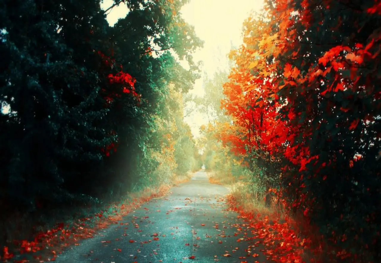 cover picture of gyoor