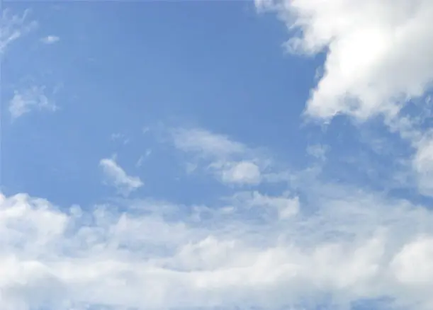 cover picture of Nartzie