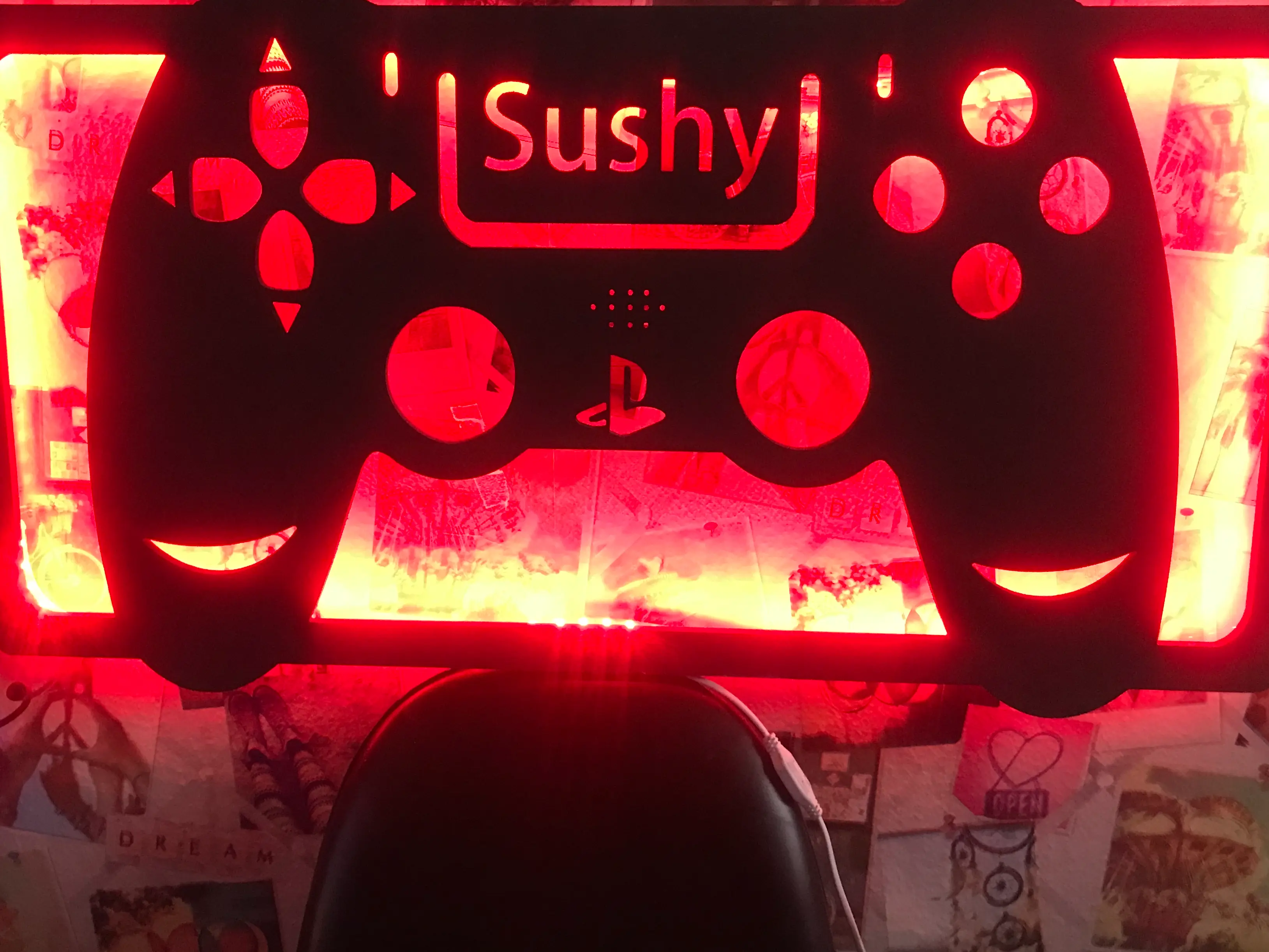 cover picture of sushyplays5